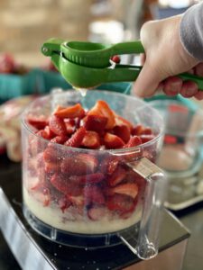 strawberry sorbet mixture in food processor