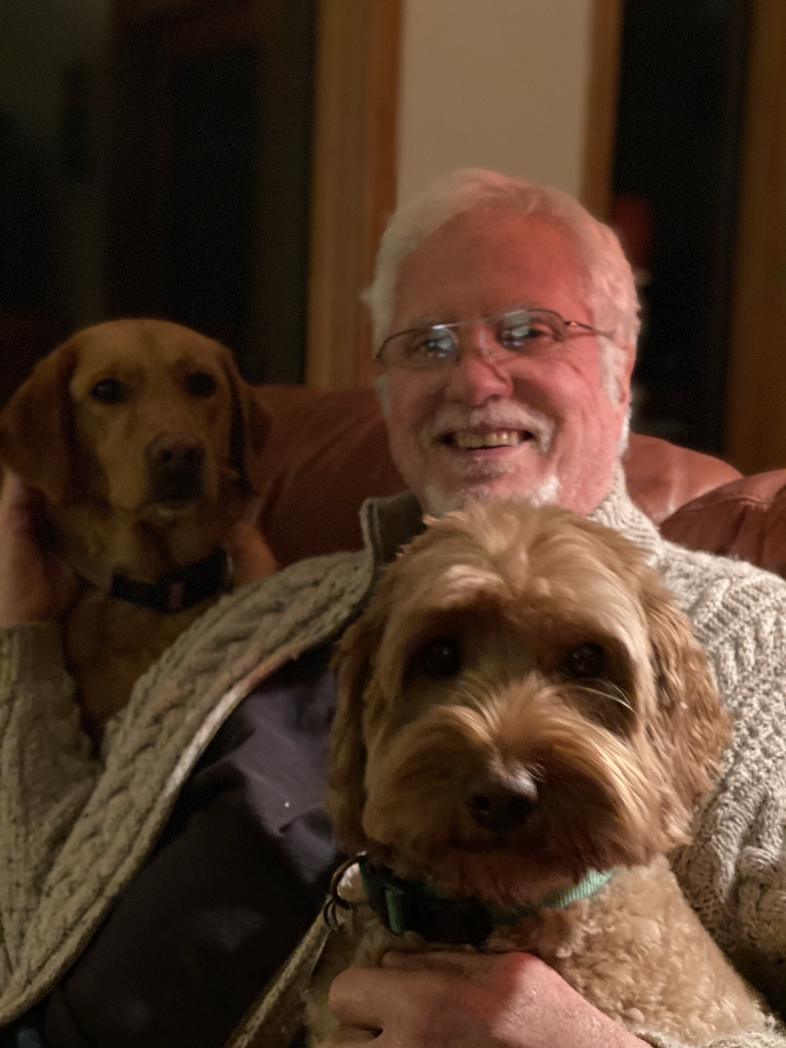 man with two dogs on couch